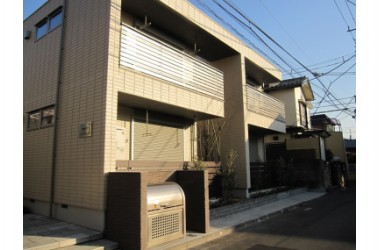 マグノリア